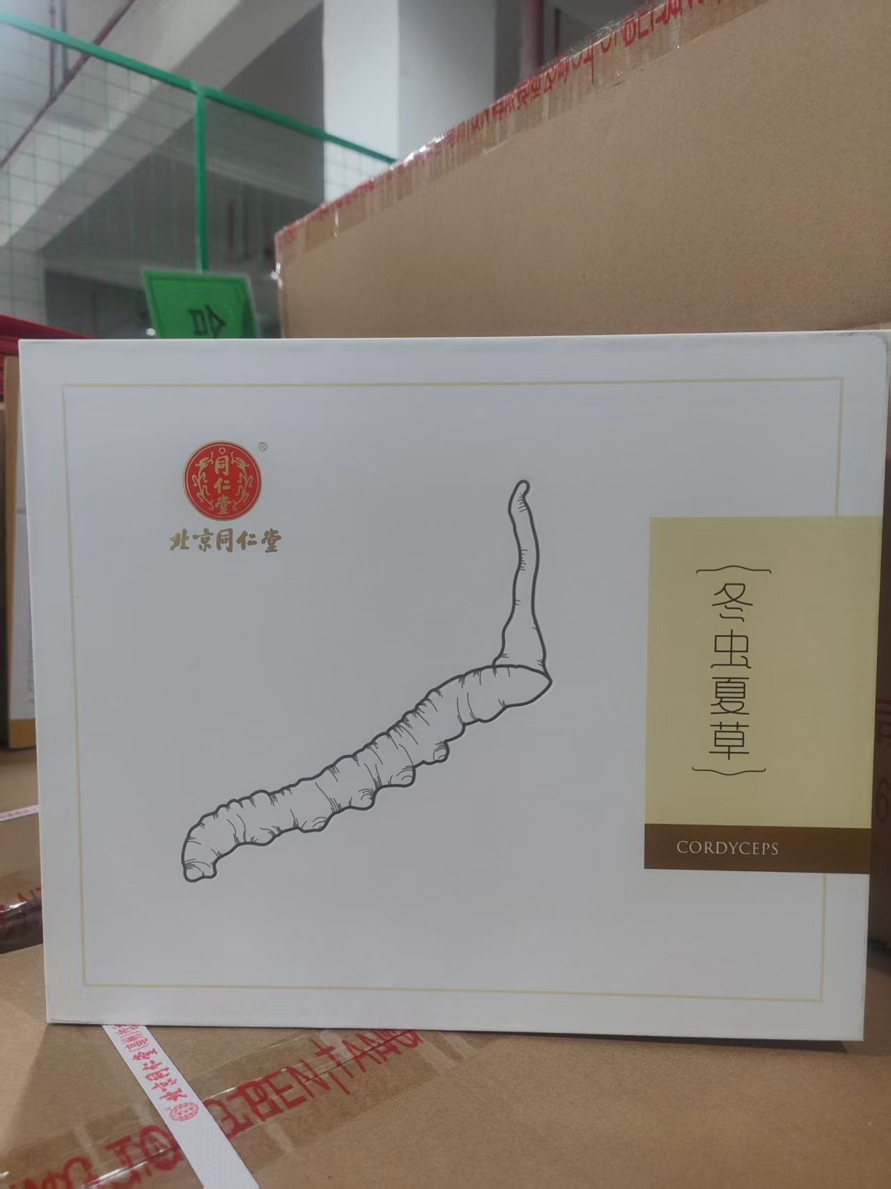 Cordyceps Sinensis