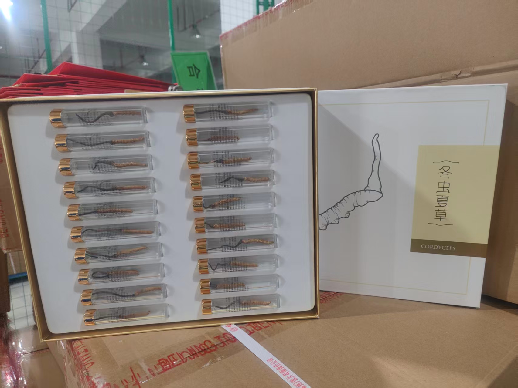 Cordyceps Sinensis